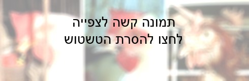 שלוש תרנגולות שכתוצאה מקיטום אכזרי במיוחד יסבלו כאבים וקשיים באכילה במשך כל חייהן