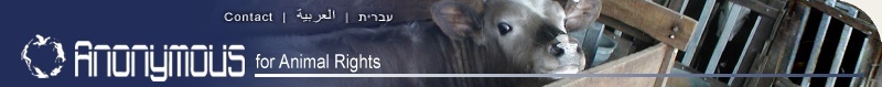 anonymous for animal rights