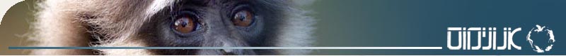anonymous for animal rights