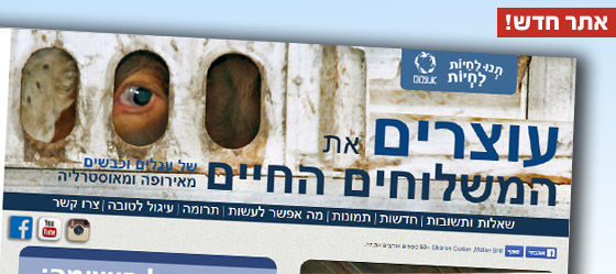 אתר חדש נגד משלוחים חיים