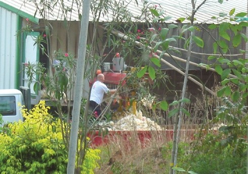 במכונת ההרג נתלות התרנגולות ברגליהן על גבי סרט נע צפוף, שהסיע אותן למתקן החישמול