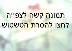  כיסא קופים - מתקן האוחז בקוף בצמוד לגופו ולצווארו ואינו מאפשר לו כמעט תנועה