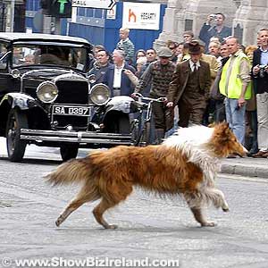 אחד מהכלבים המגלמים את לאסי בצילומי עיר שנערכו בדבלין, עבור סצנה עירונית בסקוטלנד.  לאורך כמחצית מן הסרט,...
