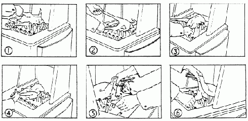 תיאור של שלבי מריטת הנוצות מעופות