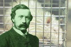 ג'ורג' רומיינס