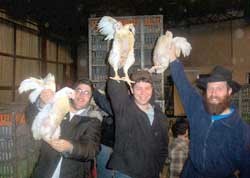 ששששששששששששששששש