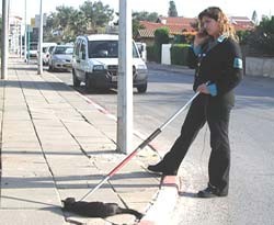 פקחית עירונית מחזיקה חתול בצוואר בעזרת מקל ארוך.