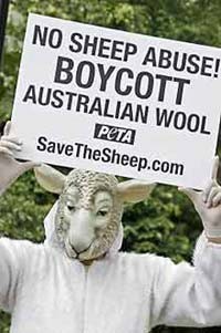 החרם הבינלאומי על תעשיית הצמר האוסטרלית