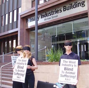 מפגינים אוסטרליים בפתח בניין התעשיות הבסיסיות בבריסביין: תעשיית הצמר עיוורת לסבלם של בעלי-החיים . 