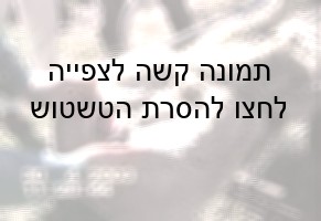 מיולסינג בטלה באוסטרליה (Animal Rights Media Online Repository)