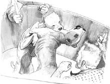 איור של שיסוי כלבים זה בזה