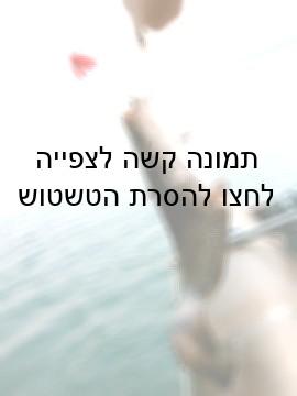 שפמנון, ככל הנראה עדיין חי ובהכרה, לאחר שנתפס על-ידי דייג חובב.  הקרס השמאלי לכד את הקורבן, והקרס הימני...