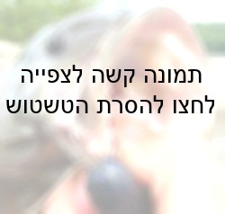 דג שקרס ננעץ בפיו. מתוך אתר דיג, המציג קרס מסוג זה, שהוא מעוגל יותר מקרסים רגילים, בתור מכשיר פחות אגרסיבי...
