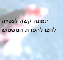 ניכר כאן פרדוקס המוכר מחוקים רבים בעולם, המגבילים ציד של מינים נכחדים כדי לאפשר לאוכלוסייה להתאושש,...