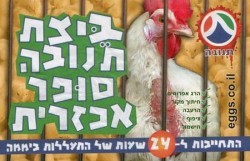 אריזת ביצי תנובה הכוללת דימוי של תרנגולת חופשייה ובריאה, ההולכת על מצע קש
