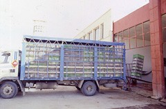 פריקת כלובי ארנבונים בכניסה למשחטה. מתוך אתר Cuniculture