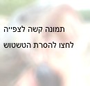 בוועדת הכלכלה בכנסת התקבלו תיקונים לתקנות הדיג. התיקונים כוללים איסור על השימוש בקרס בעל יותר מאנקול...