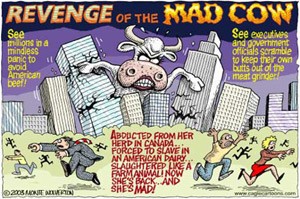 נקמתה של הפרה המשוגעת. פרה בגודל מפלצתי.