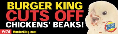 כחלק מקמפיין Murder King , פרסם ארגון PETA את הטענה העובדתית ברגר קינג קוטמת מקורים של תרנגולות . עובדה זו לא...