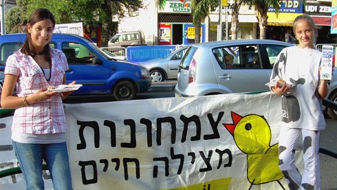 מלמעלה למטה: מעט מהיצע המזון ברחוב, כולל גרסה חדשה של קרטון חלב עם מידע אמיתי על פרות; מציעים טעימת גבינת...