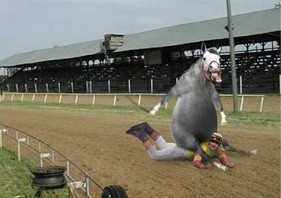 סוס רוכב על בן אדם