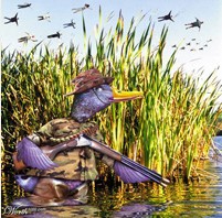 קריקטורת ברווז המנסה לצוד ציפורים