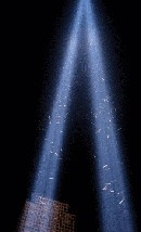 ציפורים לכודות בתוך אלומת אור