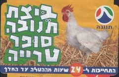 אריזה מטעה ביותר של ביצי תנובה