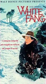 כריכת DVD לעיבוד קולנועי של הספר פנג הלבן