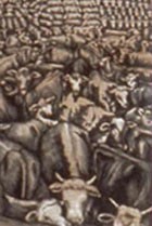 האמת המצוירת על בעלי-חיים