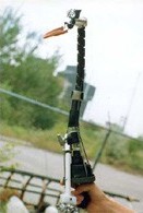 ברווז מלאכותי - חיות בקולנוע