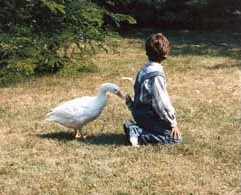 חיות בקולנוע