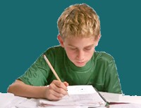 כדאי לכתוב עבודות בבית הספר על חיות וזכויות בעלי חיים - וכך לשלב בין חובות לימודיות והתנדבות