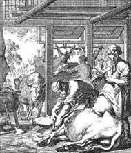 בניגוד לשוחט הרע, הרוצח, העולה בקנה אחד עם האידיאולוגיה הצמחונית של בשביס זינגר, ניתן למצוא ביצירה בודדה...