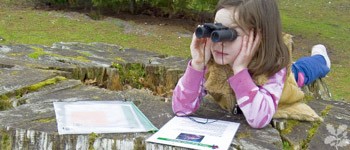 משקפת, כלי עבודה הכרחי בעבודות רבות בביולוגיה: שלוות החיות חשובה יותר מהעבודה שלך – ולכן יש לשמור מרחק!