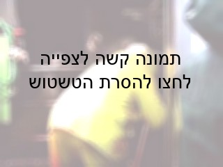 מאי 2007, משחטת Local Pride בנברסקה: עובד המשחטה מרחיב את הפצע של פרה לאחר השחיטה הפולחנית ה כשרה . הפרה בהכרה מלאה.