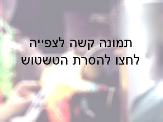 העובד חופר בתוך הפצע של הפרה השחוטה באמצעות אנקול ממתכת, ככל הנראה כדי לתלוש ולקרוע כלי דם. הפרה בהכרה...