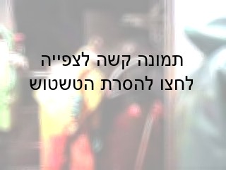 פרה מדממת בהכרה מלאה: עיניים פעורות לרווחה ולשון משורבבת קדימה.הפרות תועדו בהכרה לאחר השחיטה הפולחנית...