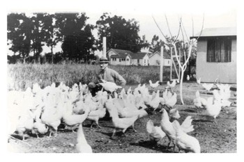 הפיכתם של יצורים חיים לחומר-גלם ולמוצר תעשייתי היא אחד מן האירועים ההמוניים והמחרידים בהיסטוריה....