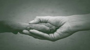 אמנה חברתית בין בני-אדם לחיות ממינים אחרים: אפשרי או אבסורדי? טום ריגאן מראה, שאף על-פי שהחיות אינן שותפות...