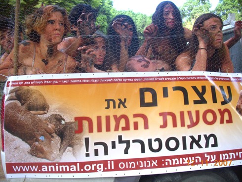 פעילי אנונימוס במיצג מחאה נגד המסעות מאוסטרליה, נובמבר 2007