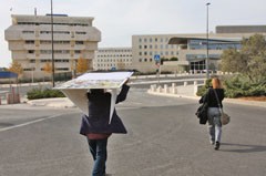 הצהרת זכויות בעלי חיים בדרכה לכנסת