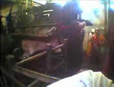 דלת מתקן פקוימה נפתחת לאחר השחיטה. הפר, בהכרה מלאה, נותר תפוס בראשו במתקן לרגע קצר, עד שמשקל גופו הנופל...