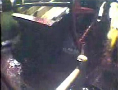 פר נפלט מתוך מתקן פקוימה 