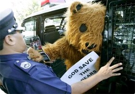 הפגנה נגד ציד דובים 