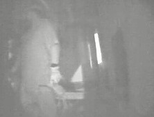 משחטת Pilgrim's Pride שבווירג'יניה המערבית: הורגים המוני תרנגולים בהתפרצות סדיסטית. מתוך חקירת PETA