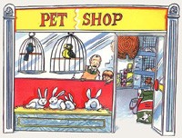 מדוע בכה התוכי בלילות.