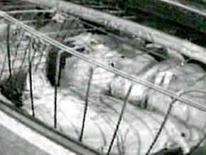 צפיפות-יתר הביצים Gemperle Enterprises, קליפורניה. מתוך חקירת Mercy for Animals