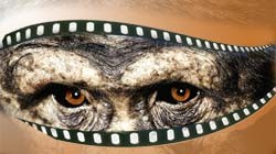 חיות בקולנוע. ניצול של בעלי חיים לצורך הפקת סרטים.