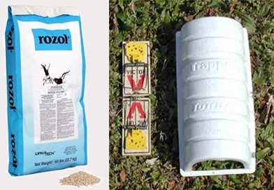 שתי שיטות להדברת נברנים: מימין מלכודת הרג המיועדת להצבה במחילות נברנים, ומשמאל רעל.